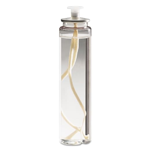 Soft Light Liquid Wax, 74g, Clear, 29 Hour, 36/Carton