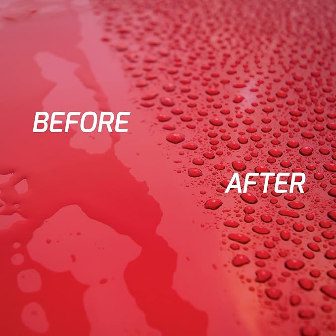 Turtle Wax ICE Seal N Shine, Car Wax Sealant, High Gloss Shine, Insane Water Beading and Durable Paint Protection, Carnauba Wax Infused, For Paint, Wheels, Glass, Plastics and More, 16oz (Pack of 1)