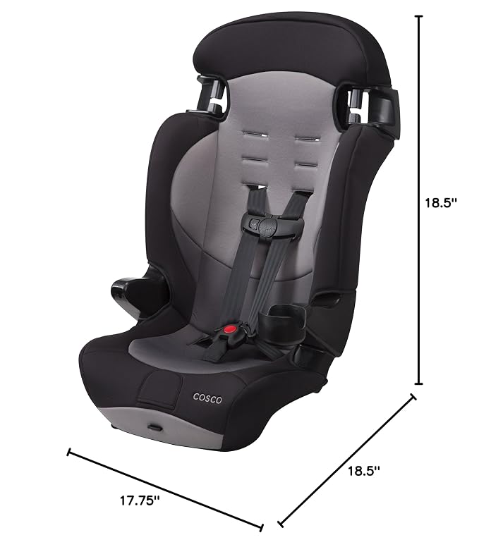 Cosco Kids Finale DX 2-in-1 Booster Car Seat, Forward Facing Toddler Car Seat (40-65 lbs) and Belt Positioning High Back Booster (40-100 lbs), Dusk