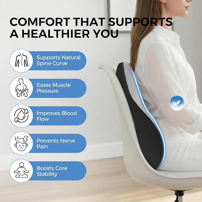 BEBAS Ergonomic Lumbar Support Pillow for Car, Memory Foam Back Support for Driving, Lower Back Pillow for Pain Relief, Comfort Lumbar Cushion for Office Chairs, Car Seat, Wheelchair -Gray