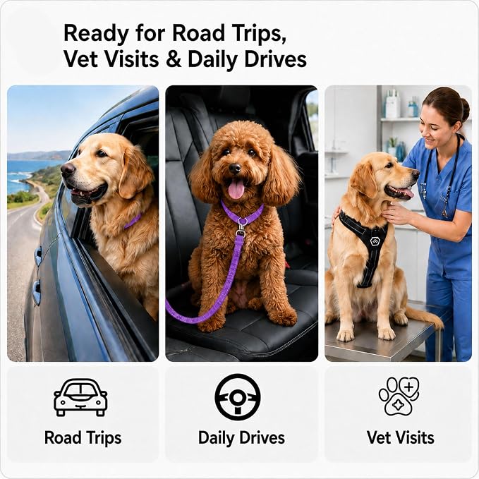 Dog Seat Belt 2Pcs, Retractable Pet Car Harness, Adjustable Dog SeatBelts for Vehicle, Nylon Pet Safety with Elastic Bungee