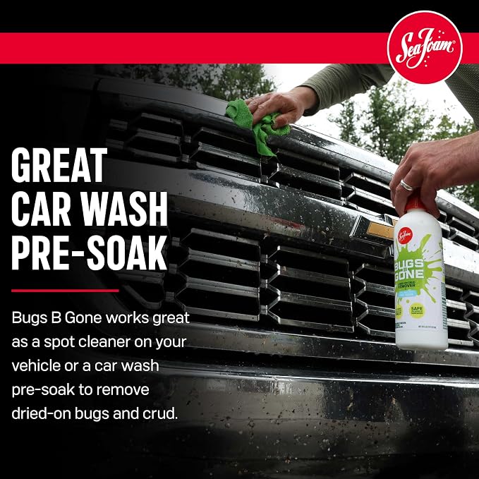 Sea Foam Bugs B Gone Bug and Crud Remover, BBG32, 1 Gallon, Pack of 1