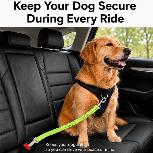 Dog Seat Belt 2Pcs, Retractable Pet Car Harness, Adjustable Dog SeatBelts for Vehicle, Nylon Pet Safety with Elastic Bungee