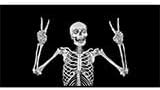 Funny Skull Car Windshield Sunshade Folding Human Skeleton Black Heatshield Front Window Car Sun Shade Windshield Rays Sun Shade Visor Protector for Car Sedan Truck SUV Accessories 59" L x 31.5" W