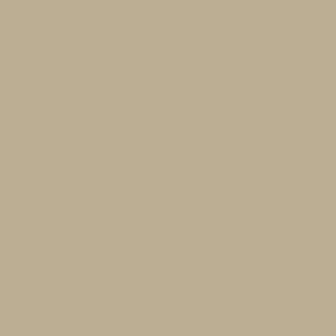 Dupli-Color EBTY16107 Perfect Match Automotive Spray Paint – Toyota Desert Sand Mica, 4Q2 – 8 oz. Aerosol Can