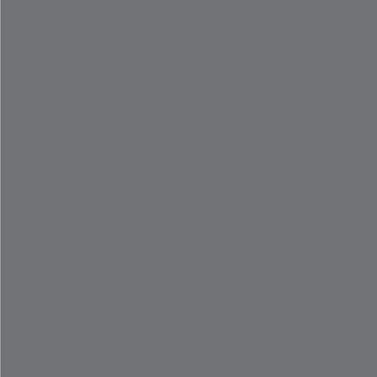 Dupli-Color EBNS06047 Perfect Match Automotive Spray Paint - Nissan Precision Gray, W40-8 oz. Aerosol Can