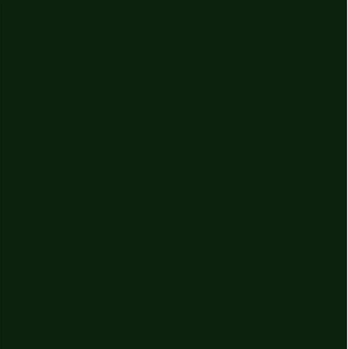 Dupli-Color Perfect Match Premium Automotive Paint, Clover Green Pearl, 8 oz