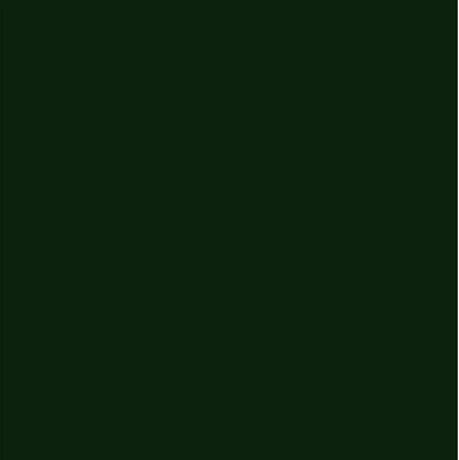 Dupli-Color Perfect Match Premium Automotive Paint, Clover Green Pearl, 8 oz