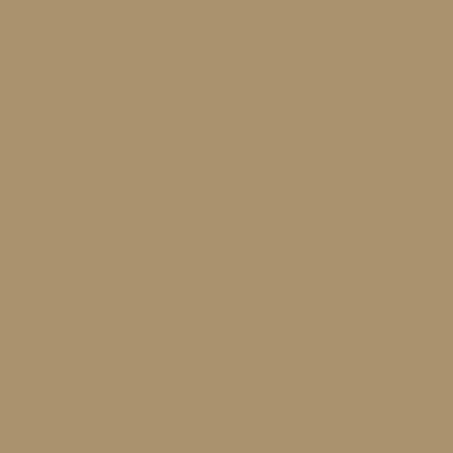 Dupli-Color BTY1596-6 PK (EBTY15967-6 PK) Cashmere Beige Metallic Exact-Match Automotive Paint For Toyota Vehicles - 8 oz. Aerosol, (Case of 6)