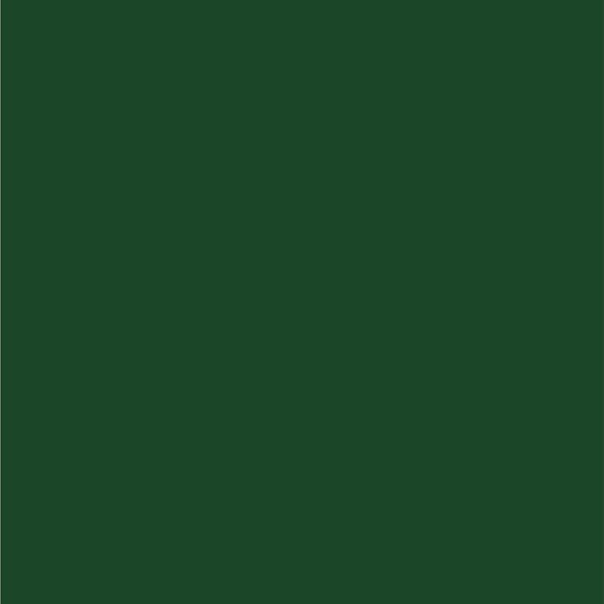 Dupli-Color EBFM03277 Perfect Match Automotive Spray Paint – Ford Deep Jewel Green Metallic, PA/TM – 8 oz. Aerosol Can