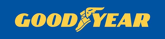 Goodyear GY3006 Automotive Winter Safety Kit
