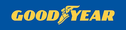 Goodyear GY3006 Automotive Winter Safety Kit