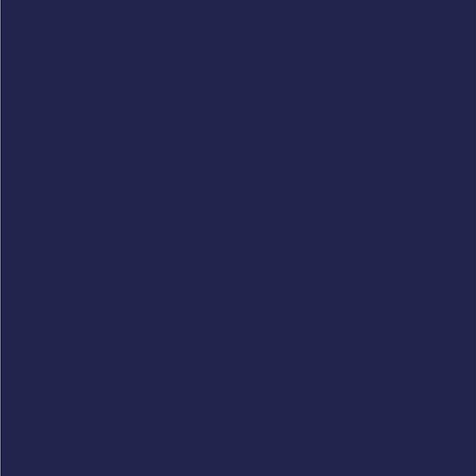 Dupli-Color Perfect Match Premium Automotive Paint, True Blue, 8 oz