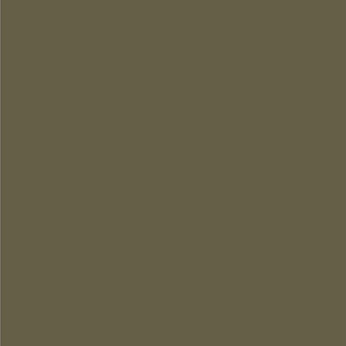 Dupli-Color EBFM03547 Perfect Match Automotive Spray Paint – Ford Arizona Beige, AQ – 8 oz. Aerosol Can