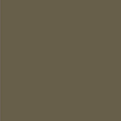 Dupli-Color EBFM03547 Perfect Match Automotive Spray Paint – Ford Arizona Beige, AQ – 8 oz. Aerosol Can