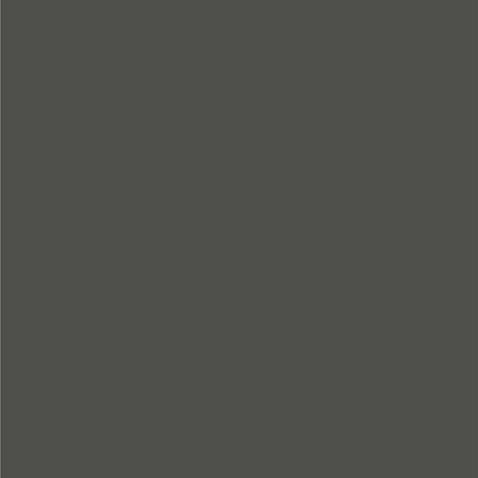 Dupli-Color EBFM03607 Perfect Match Automotive Spray Paint – Ford Dark Shadow Gray, CX – 8 oz. Aerosol Can