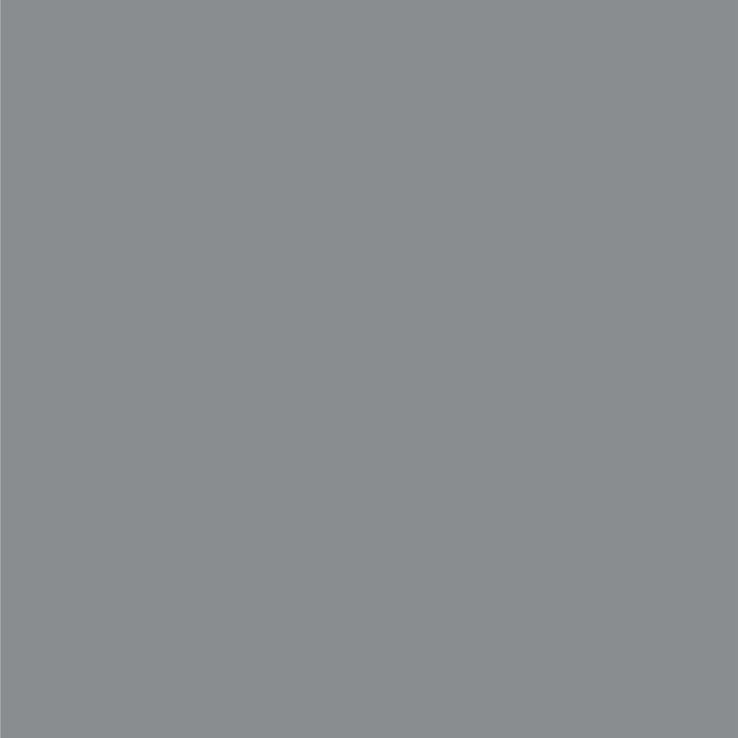 Dupli-Color Perfect Match Premium Automotive Paint, Magnetic Gray, 8 oz
