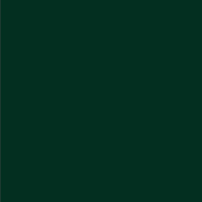 Dupli-Color EBCC04237 Perfect Match Automotive Spray Paint – Chrysler Forest Green Pearl, PG8 – 8 oz. Aerosol Can