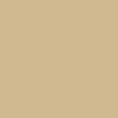 Dupli-Color Perfect Match Premium Automotive Paint, Light Driftwood (M), 8 oz