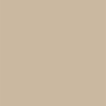Dupli-Color Perfect Match Premium Automotive Paint, Light Almond Pearl, 8 oz