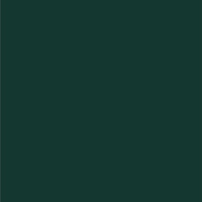 Dupli-Color Perfect Match Premium Automotive Paint, Amazon Green (M), 8 oz