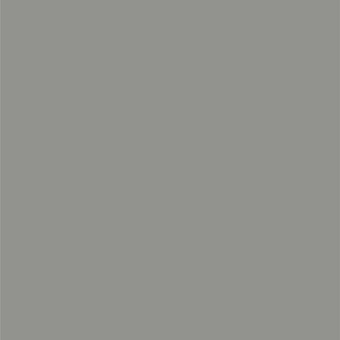 Dupli-Color Perfect Match Premium Automotive Paint, Bright Platinum (M), 8 oz