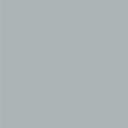 Dupli-Color EBFM03417 Perfect Match Automotive Spray, Ford Silver Frost, TS – 8 oz. Aerosol Can