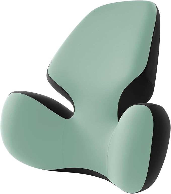 BEBAS Lumbar Support Pillow for Office Chair - Ergonomic Memory Foam Back Cushion for Lower Back Pain Relief - Washable & Breathable Cover - Fits Car Seats, Gaming Chairs & Wheelchairs (Green)