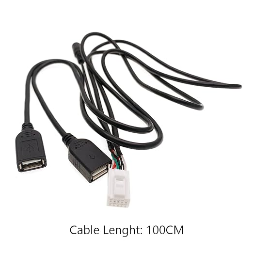10 Pin Car USB Dual Double USB with Mic for RCA Cable Adapter for Android Radio Player Navigation Accessories - (Color Name: A)