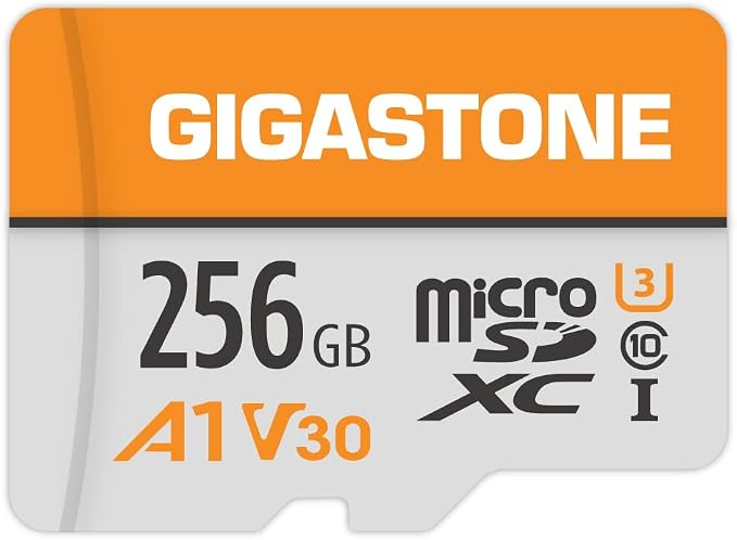 GIGASTONE 256GB Micro SD Card, A1 V30 4K Video Recording, MicroSDXC Memory Card for Nintendo-Switch, Wyze, Dash Cam, Security Camera,UHS-I U3 C10, up to 100MB/s, with Adapter