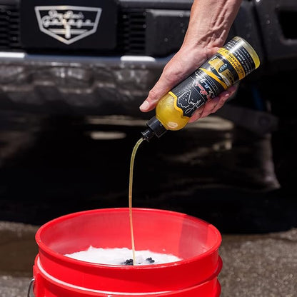 Jay Leno's Garage Ceramic Car Coating Kit – Car Wash Bundle with Ceramic Coating Spray, Car Ceramic Coating Products, Wheel and Tire Cleaner, Microfiber Towels, Applicators & Wash Mitt Detailing Kit