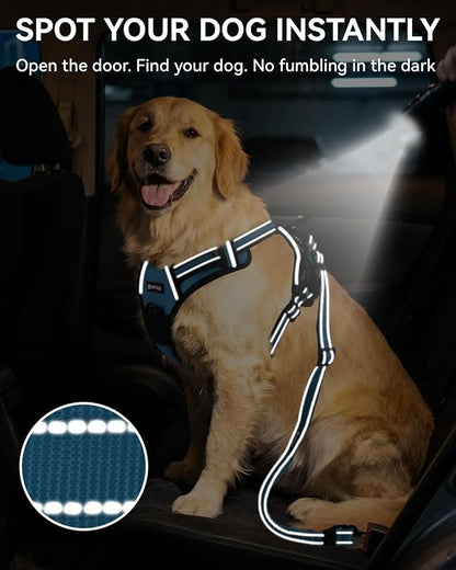 Joytale 3-in-1 Bungee Dog Seat Belt for Car, Safe & Distraction-Free Travel with Reinforced Swivel Carabiner, Shock Absorbing & Tangle-Free Nylon Tether for Medium Large Dogs, Sky Blue