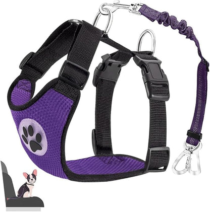 Lukovee Dog Car Harness Seat Belt, Adjustable Mesh Breathable Vest with Elastic Bungee Tether, Soft Padded 2-in-1 Safety Car Harness Seatbelt for Small Medium Large Dogs (Purple,XXS)