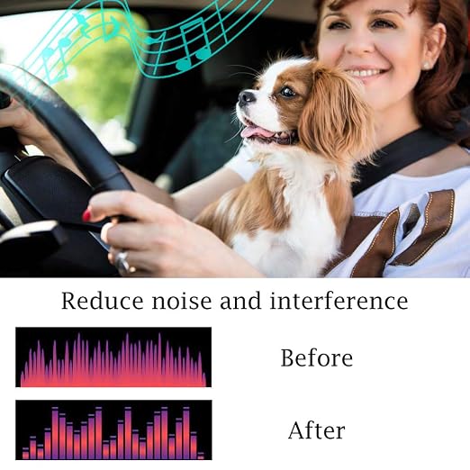 Car Power Filter EMI Noise Ground Loop Isolator Suppressor for Auto Stereo Audio Radio Stereos Amplifier Amp Speaker Equalizer Subwoofer 12V