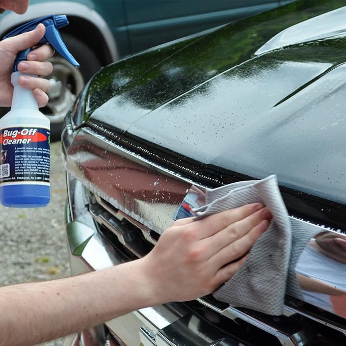 Detail King Bug Remover Automotive Cleaner (16 Oz)