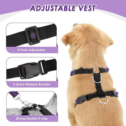 Lukovee Dog Car Harness Seat Belt, Adjustable Mesh Breathable Vest with Elastic Bungee Tether, Soft Padded 2-in-1 Safety Car Harness Seatbelt for Small Medium Large Dogs (Purple,M)