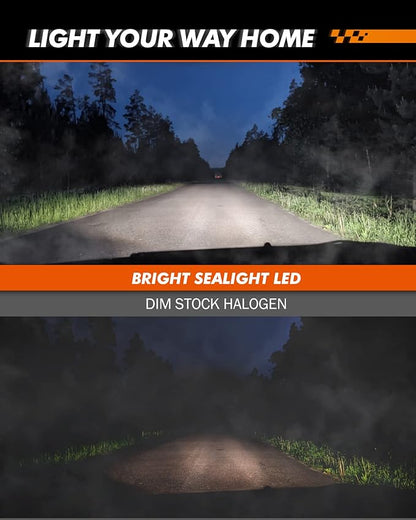SEALIGHT H11 H16 LED Fog Light Bulb, Real 1:1 Mini Size, 6500K Cool White 6000LM H8/H16 LED Fog Lights For Cars,Trucks,SUV, 400% Brightness With Strong Penetration, 3 Mins Plug-N-Play, Pack of 2