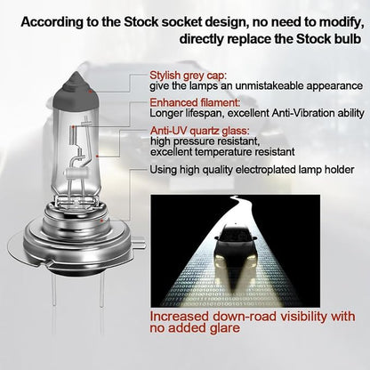 WinPower H7 Halogen Headlight Bulb, Super Bright Warm White 55W 4300K High Low Beam Fog Light Replacement Car Motorcycle PX26D Lamp, Pack of 2