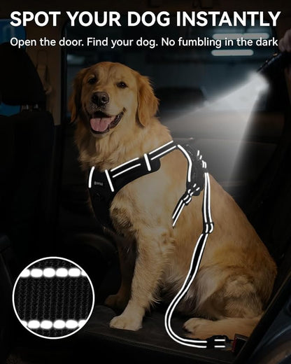 Joytale 3-in-1 Bungee Dog Seat Belt for Car, Safe & Distraction-Free Travel with Reinforced Swivel Carabiner, Shock Absorbing & Tangle-Free Nylon Tether for Medium Large Dogs, Black