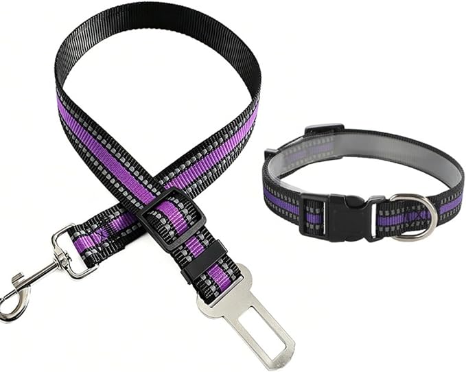 Reflective Nylon Pet Car Safety Set, Adjustable Dog Collar + Seatbelt, Travel Safety Kit for Dogs & Cats