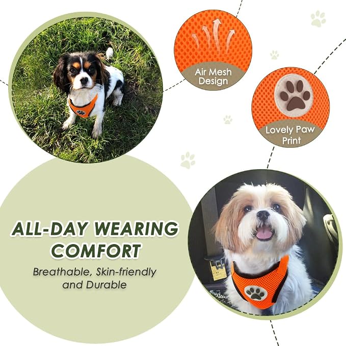 Lukovee Dog Car Harness Seat Belt, Adjustable Mesh Breathable Vest with Elastic Bungee Tether, Soft Padded 2-in-1 Safety Car Harness Seatbelt for Small Medium Large Dogs (Orange,XS)