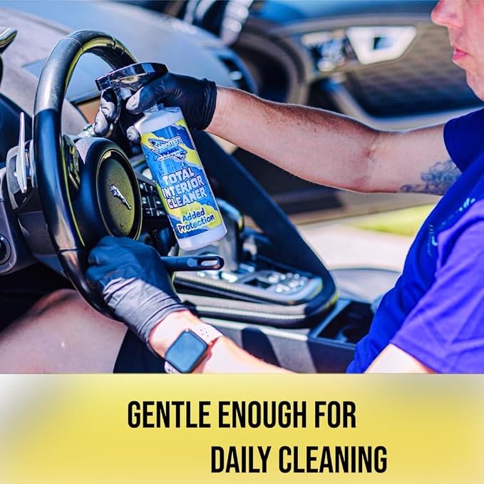 Winter White Premium Total Interior Cleaner with added Ceramic Protection, Safe for Use in Cars, Trucks, SUVs, Jeeps, Motorcycles, RVs & More, 16 fl oz (2)