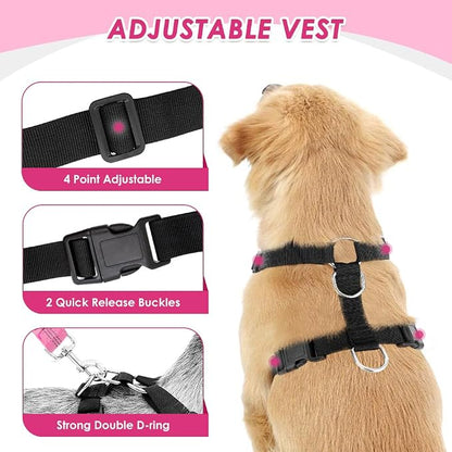 Lukovee Dog Car Harness Seat Belt, Adjustable Mesh Breathable Vest with Elastic Bungee Tether, Soft Padded 2-in-1 Safety Car Harness Seatbelt for Small Medium Large Dogs (A-Pink,XXXS)