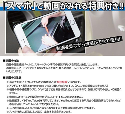 Cast Sports la250s Maintenance DVD Interior and Exterior with Smartphone Sunshade