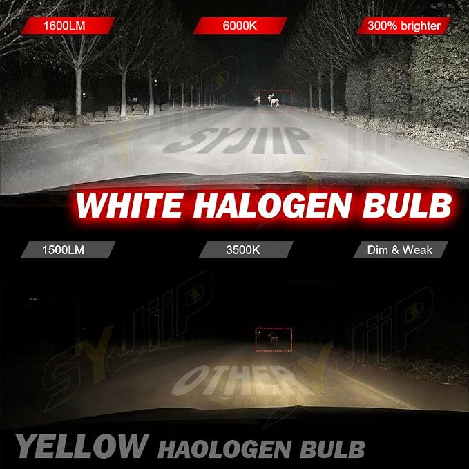 H11B Compatible for Kia Forte Headlights 2010 2011 2012 2013, Halogen H11B Headlight Bulbs Low Beam, Plug n Play, 6000K Cool White, 2-Pack