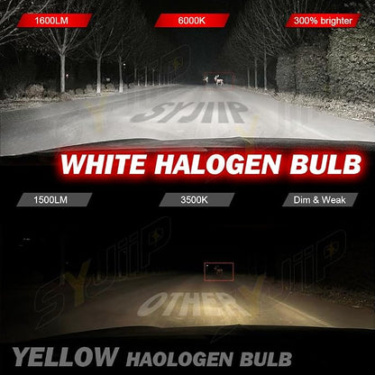 H11B Compatible for Kia Forte Headlights 2010 2011 2012 2013, Halogen H11B Headlight Bulbs Low Beam, Plug n Play, 6000K Cool White, 2-Pack