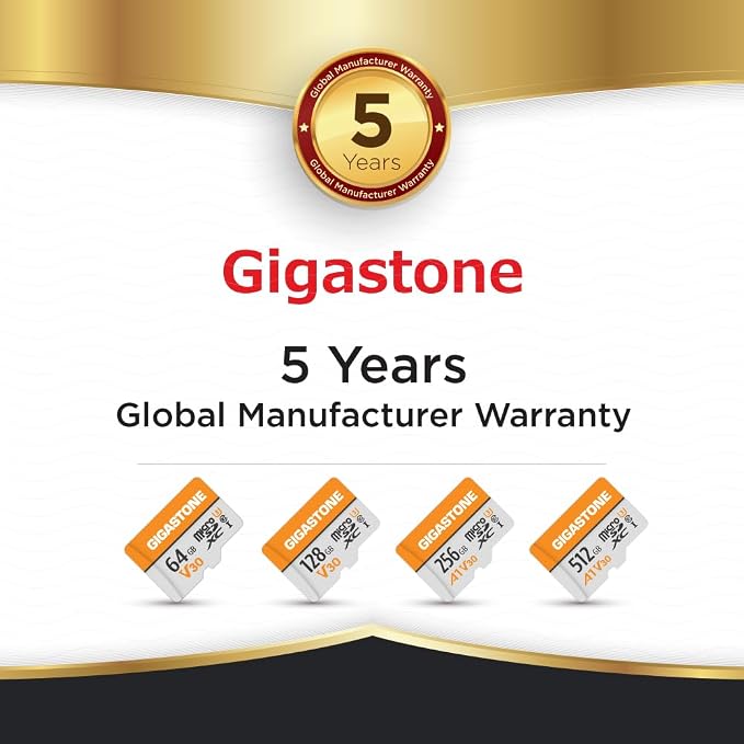 GIGASTONE 64GB Micro SD Card 2-Pack, V30 4K Video Recording, Surveillance, Security Camera, Dash Cam, Drone, 95MB/s MicroSDXC Memory Card UHS-I Class 10, with Adapter