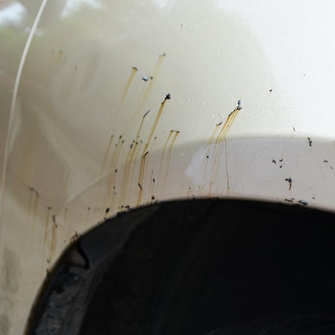 Detail King Tar Remover For Cars - Tar Stain Adhesive Remover - 16 Oz