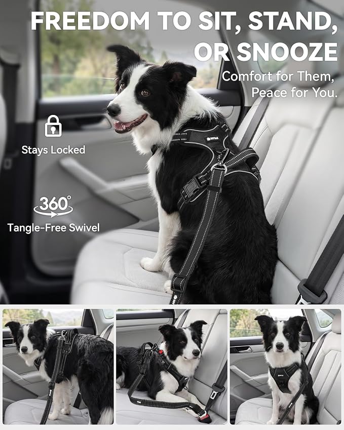 Joytale 3-in-1 Bungee Dog Seat Belt for Car, Safe & Distraction-Free Travel with Reinforced Swivel Carabiner, Shock Absorbing & Tangle-Free Nylon Tether for Medium Large Dogs, Black