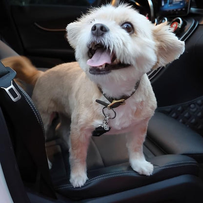 Mr. Pen- Dog Seat Belt, 2 Pack, Adjustable Dog Seat Belt for Car | Dog Seatbelt, Dog Car Seat Belts, Seat Belt for Dogs in Car, Dog Car Seat Belt, Dog Car Leash, Dog Seatbelt Harness